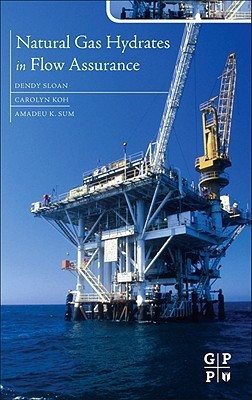 Natural Gas Hydrates in Flow Assurance(English, Hardcover, unknown)