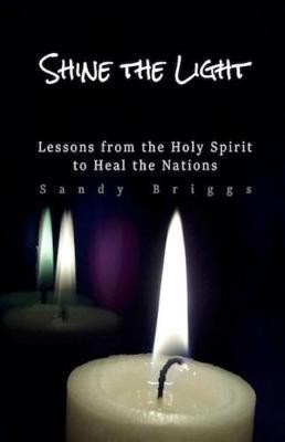 Shine The Light(English, Paperback, Briggs Sandy)