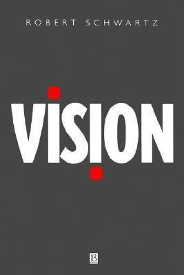 Vision(English, Paperback, Schwartz Robert)