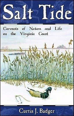 Salt Tide(English, Paperback, Badger Curtis J.)