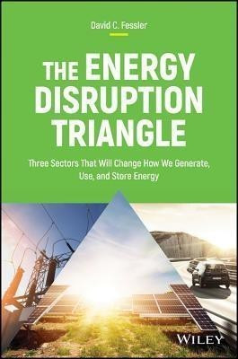 The Energy Disruption Triangle(English, Hardcover, Fessler David C.)