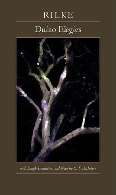 Duino Elegies(English, Paperback, Rilke Rainer M.)