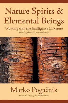 Nature Spirits & Elemental Beings(English, Paperback, Pogacnik Marko)