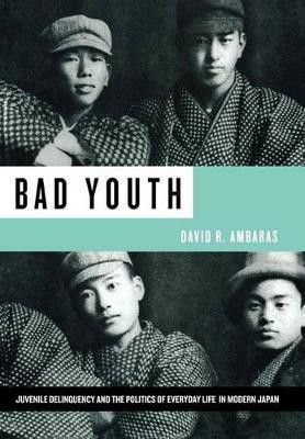 Bad Youth(English, Hardcover, Ambaras David R.)