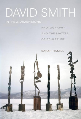 David Smith in Two Dimensions(English, Hardcover, Hamill Sarah)