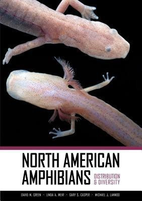 North American Amphibians(English, Hardcover, unknown)
