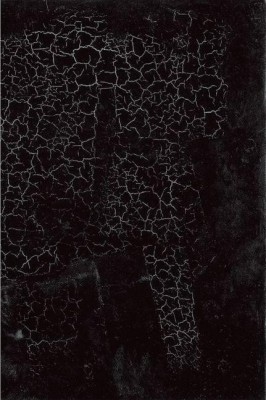 Black Square(English, Hardcover, Shatskikh Aleksandra)