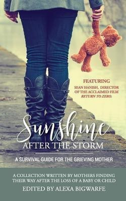 Sunshine After the Storm(English, Paperback, Bigwarfe Alexa H)