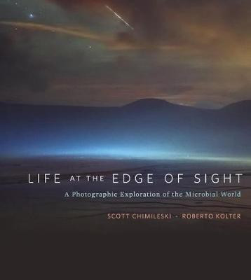 Life at the Edge of Sight(English, Hardcover, Chimileski Scott)