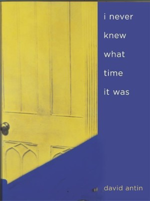 i never knew what time it was(English, Paperback, Antin David)