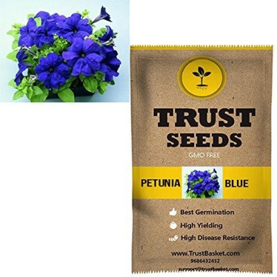TrustBasket TrustBasket Petunia Blue Flowers Seeds) Seed(200 per packet)