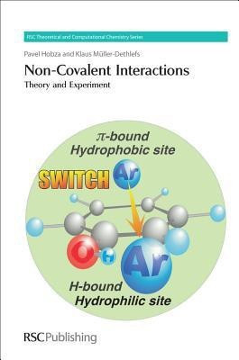 Non-Covalent Interactions(English, Hardcover, Hobza Pavel)