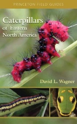 Caterpillars of Eastern North America(English, Paperback, Wagner David L.)