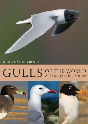 Gulls of the World(English, Hardcover, Olsen Klaus Malling)
