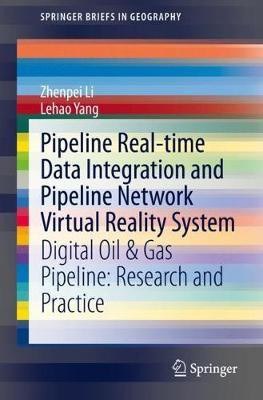 Pipeline Real-time Data Integration and Pipeline Network Virtual Reality System(English, Paperback, Li Zhenpei)