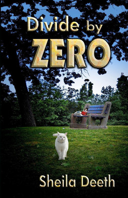 Divide by Zero(English, Paperback, Deeth Sheila)