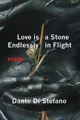 Love Is a Stone Endlessly in Flight(English, Paperback, Di Stefano Dante)