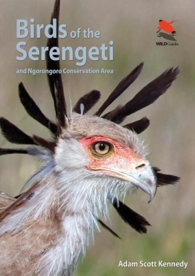 Birds of the Serengeti(English, Paperback, Kennedy Adam Scott)