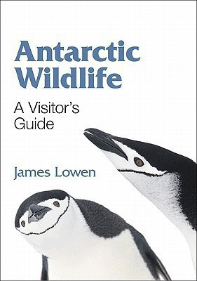 Antarctic Wildlife(English, Paperback, Lowen James)
