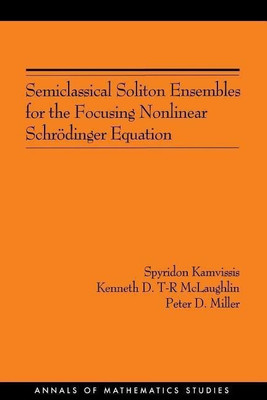 Semiclassical Soliton Ensembles for the Focusing Nonlinear Schroedinger Equation(English, Paperback, Kamvissis Spyridon)