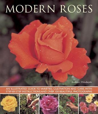 Modern Roses(English, Paperback, Mikolajski Andrew)