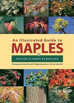 An Illustrated Guide to Maples(English, Hardcover, Smith J.R.P.Van Hoey)