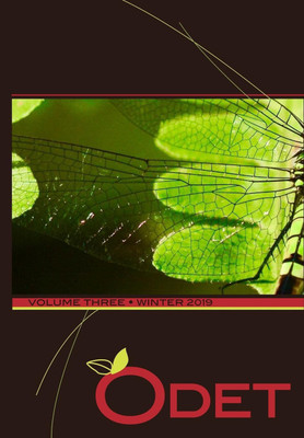 Odet Vol. 3(English, Paperback, unknown)