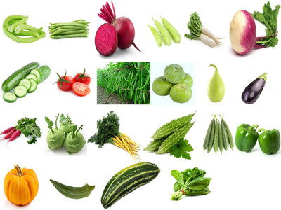 V Seed VBX40C 22 in 1 Summer Variety Vegetables Seed Pack- 1000 Seed(1000 per packet)