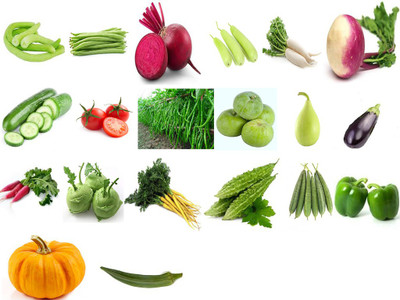Sjeme VBX20C 20 In 1 Summer Variety Vegetables Seed Pack- 600 Seed(600 per packet)