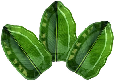 circlebits Green Banana Leaf Shape Plate small Dinner Plate(Pack of 3)