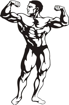 Asmi Collections 60 cm Body Builder Wrestler Wall Stickers for Gym Self Adhesive Sticker(Pack of 1)
