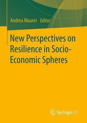 New Perspectives on Resilience in Socio-Economic Spheres(English, Paperback, unknown)