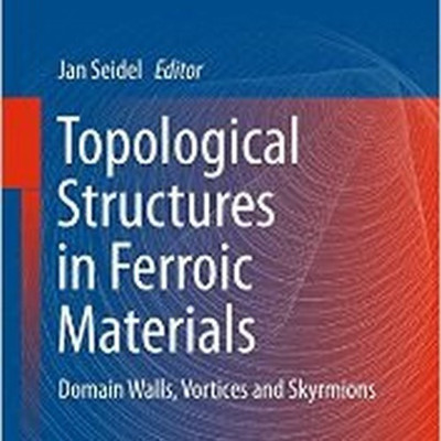 Topological Structures in Ferroic Materials(English, Hardcover, unknown)