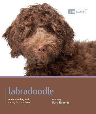 Labradoodle - Dog Expert(English, Paperback, Rogers Sarah)