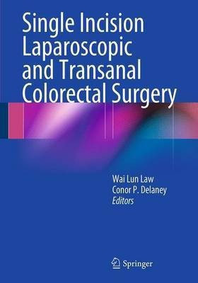 Single Incision Laparoscopic and Transanal Colorectal Surgery(English, Paperback, unknown)