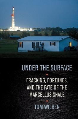 Under the Surface(English, Hardcover, Wilber Tom)