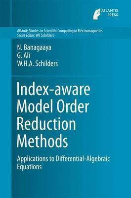 Index-aware Model Order Reduction Methods(English, Hardcover, Banagaaya N.)
