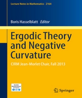 Ergodic Theory and Negative Curvature(English, Paperback, unknown)