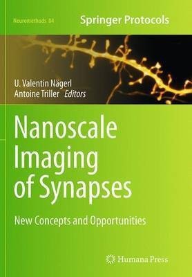 Nanoscale Imaging of Synapses(English, Paperback, unknown)