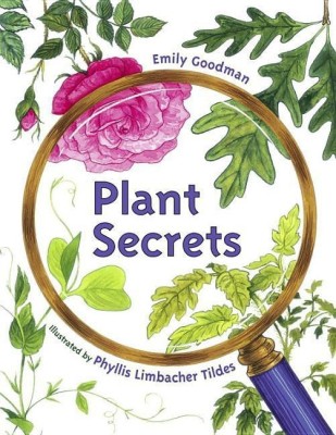 Plant Secrets(English, Paperback, Goodman Emily)