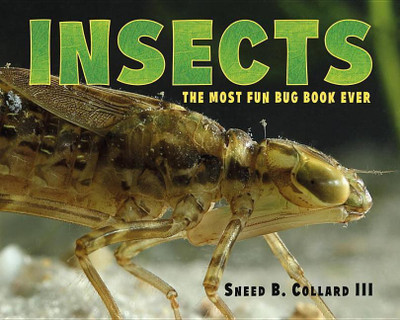 Insects(English, Hardcover, Collard Sneed B. III)