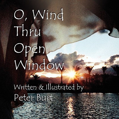 O, Wind Thru Open Window(English, Paperback, Burt Peter)