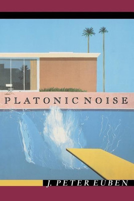 Platonic Noise(English, Paperback, Euben J. Peter)