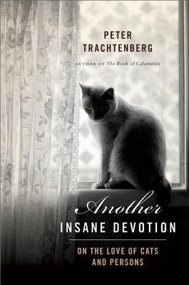 Another Insane Devotion(English, Hardcover, Trachtenberg Peter)