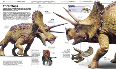 Knowledge Encyclopedia Dinosaur!(English, Hardcover, DK)