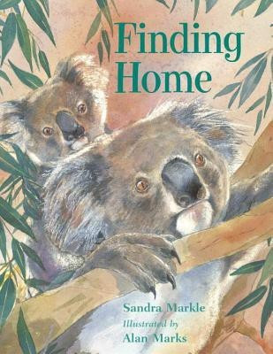 Finding Home(English, Paperback, Markle Sandra)