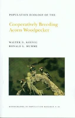 Population Ecology of the Cooperatively Breeding Acorn Woodpecker(English, Paperback, Koenig Walter D.)