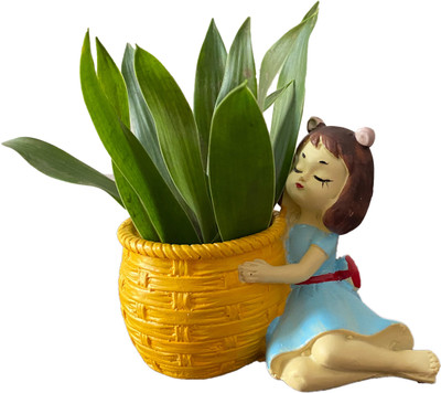 Kalakari store cute basket girl succulent resin planter Plant Container Set(Ceramic)