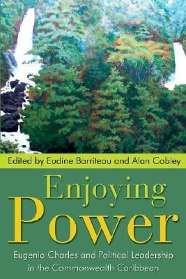 Enjoying Power(English, Paperback, unknown)