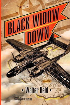 Black Widow Down(English, Paperback, Reid Walter)
